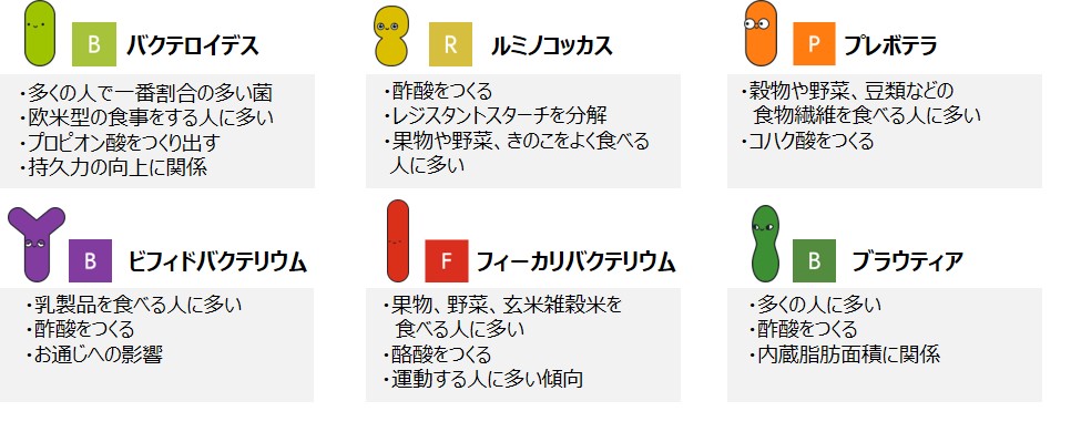 腸内で短鎖脂肪酸をつくるメインプレイヤーの6つの腸内細菌