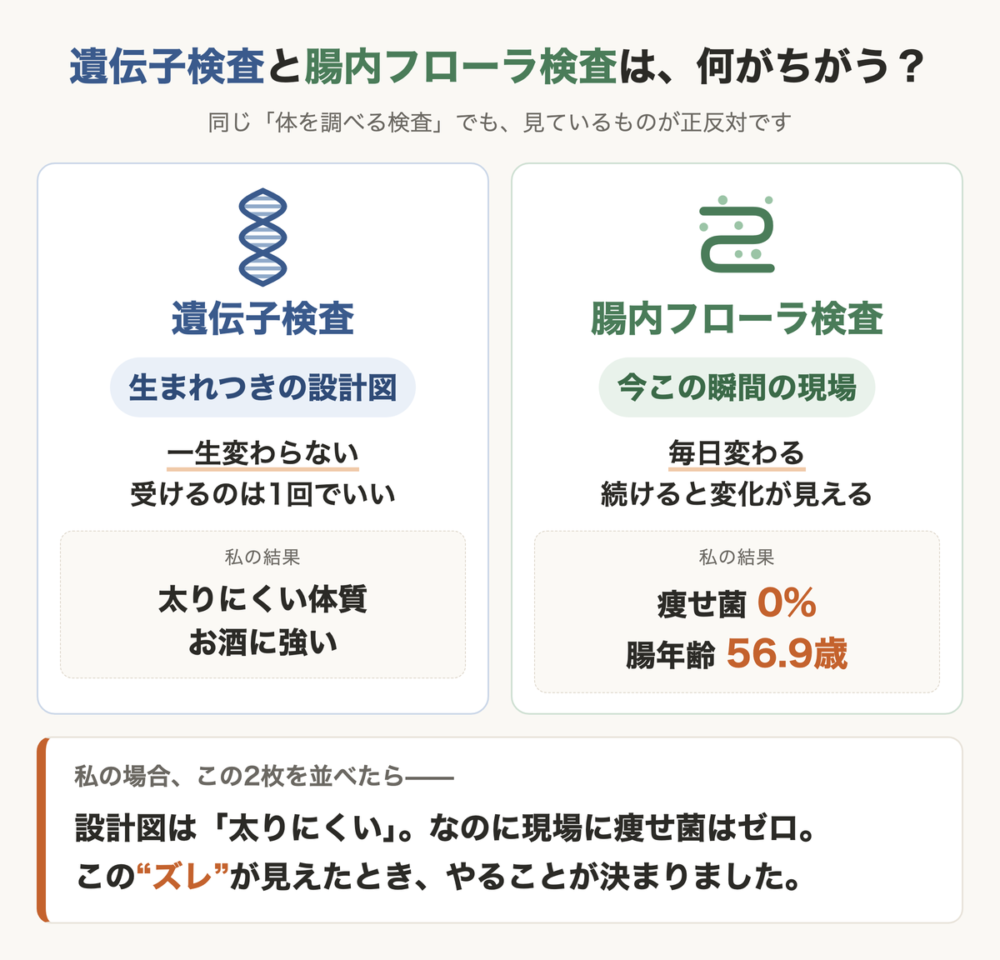 遺伝子検査と腸内フローラ検査の違いを比べた図解